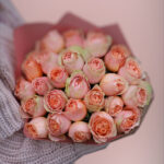 Kimp 25 roosi(virsik) 50 cm.